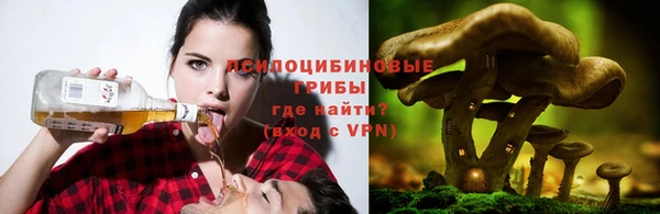 ГАЛЛЮЦИНОГЕННЫЕ ГРИБЫ Абинск