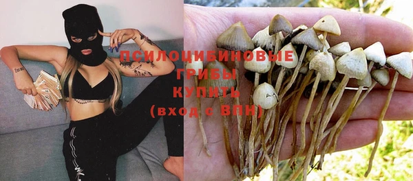 винт Алексеевка