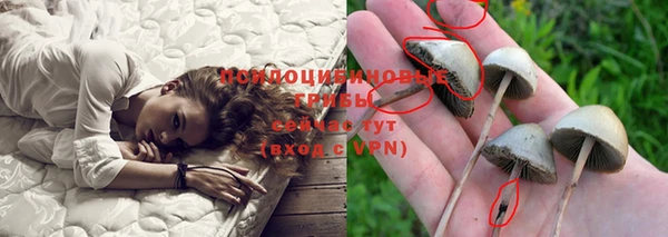 ГАЛЛЮЦИНОГЕННЫЕ ГРИБЫ Абинск